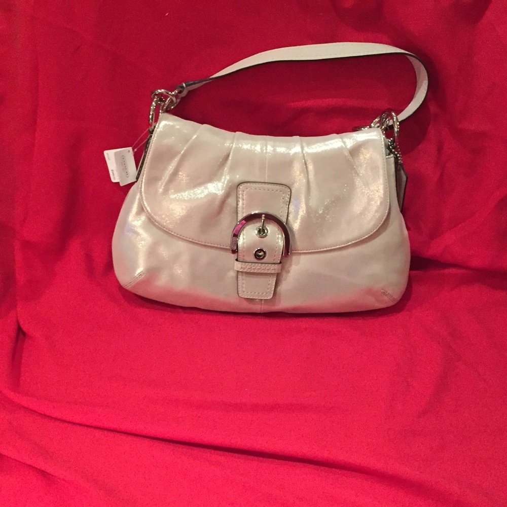 Coach Sueded Leather Very Unique Sparkled Bag NWT - Picture 5 of 6